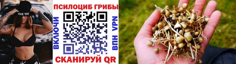 Галлюциногенные грибы MAGIC MUSHROOMS Гатчина