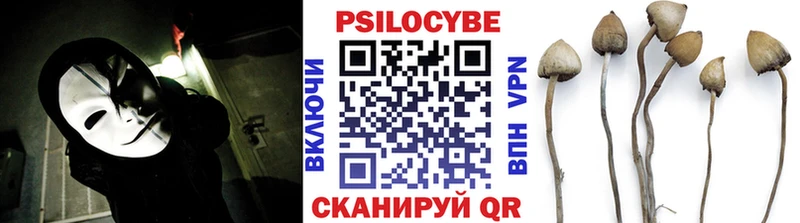 МЕГА ССЫЛКА Гатчина Галлюциногенные грибы мухоморы